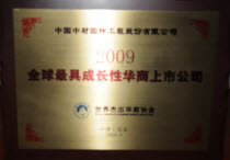 2009全球最具成長(zhǎng)性華商上