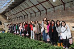 公司總部與中材貿(mào)易聯(lián)合開展婦女節(jié)活動(dòng)